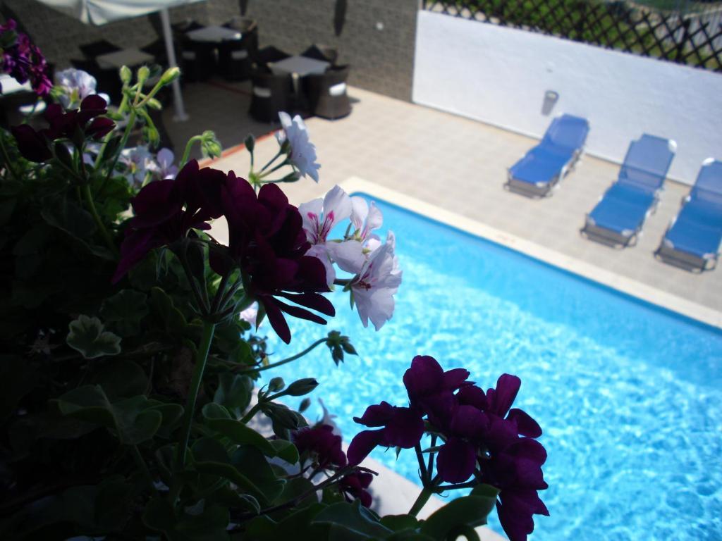 Ifigenia Hotel Skiathos Room photo