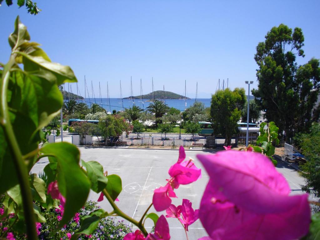 Ifigenia Hotel Skiathos Room photo
